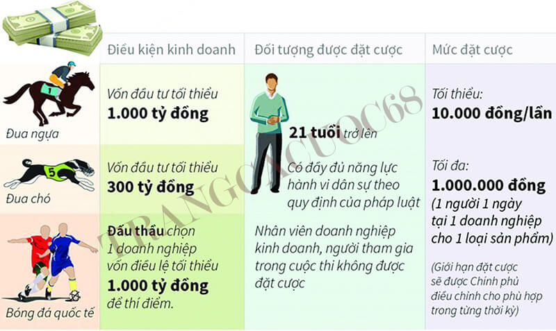 Một số điều kiện tổ chức kinh doanh cá cược tại Việt Nam