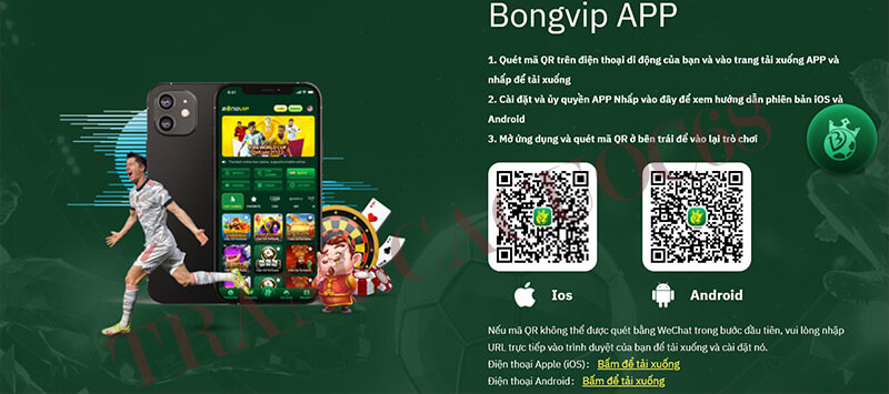 Tải BONGVIP trên Android hay iOS
